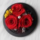  Real Rose In Glass Dome Valentine's Day Gift