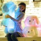 50 cm Colorful LED Glowing Luminous Dog Plush Doll Birthday Gift