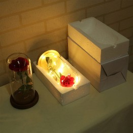 Beauty LED Rose Bottle String Light Desk Lamp Birthday Gift Decoration