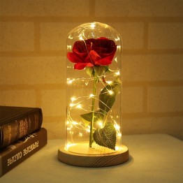 Beauty LED Rose Bottle String Light Desk Lamp Birthday Gift Decoration