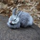 15 CM Mini Realistic Cute White Plush Rabbits Fur Lifelike Animal Model Birthday Gift